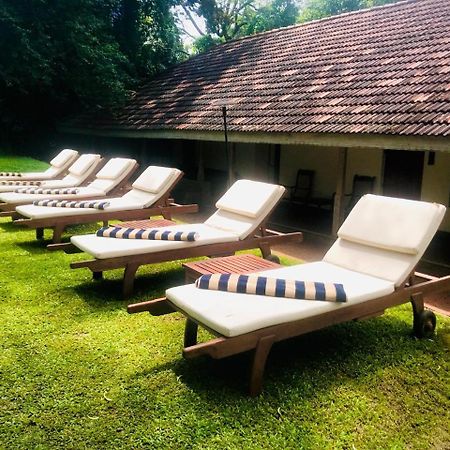 Ekho Sigiriya Hotel Luaran gambar
