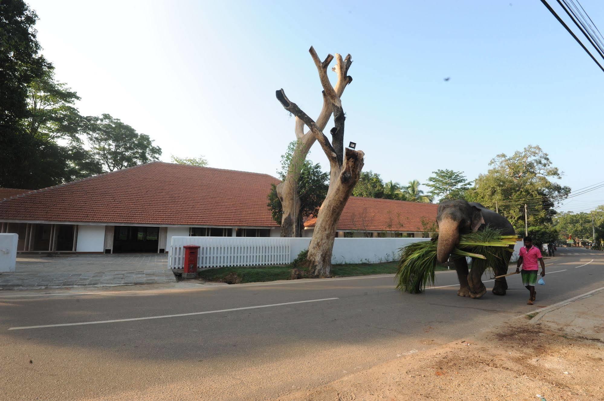 Ekho Sigiriya Hotel Luaran gambar